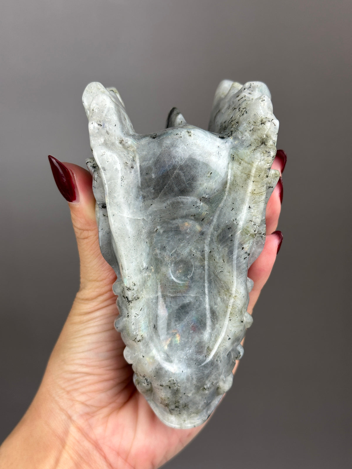 Labradorite 5" Hand-carved Dragon Skull #D4