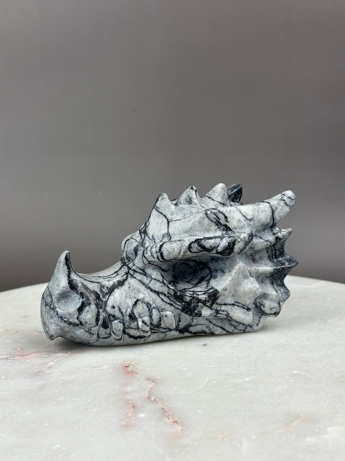 Picasso Jasper 4.75" Dragon Skull Carving #D5