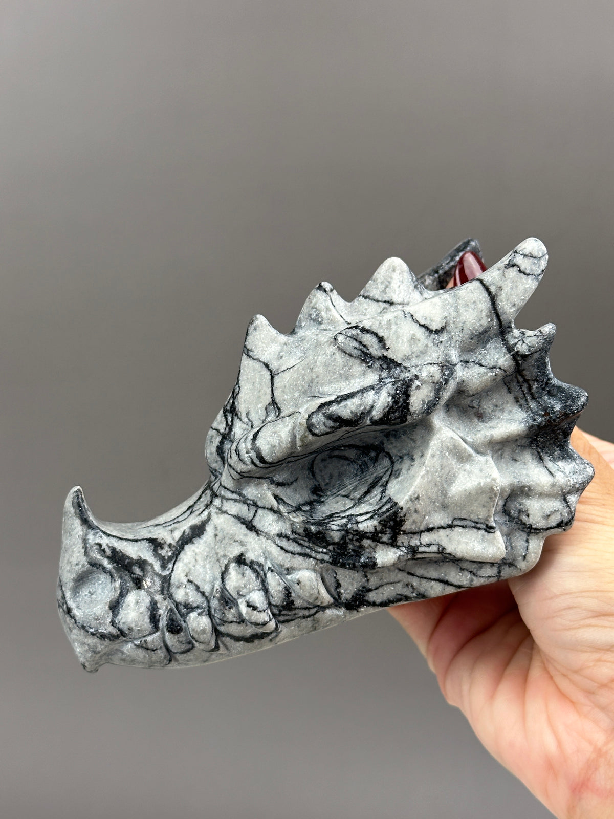 Picasso Jasper 4.75" Dragon Skull Carving #D5