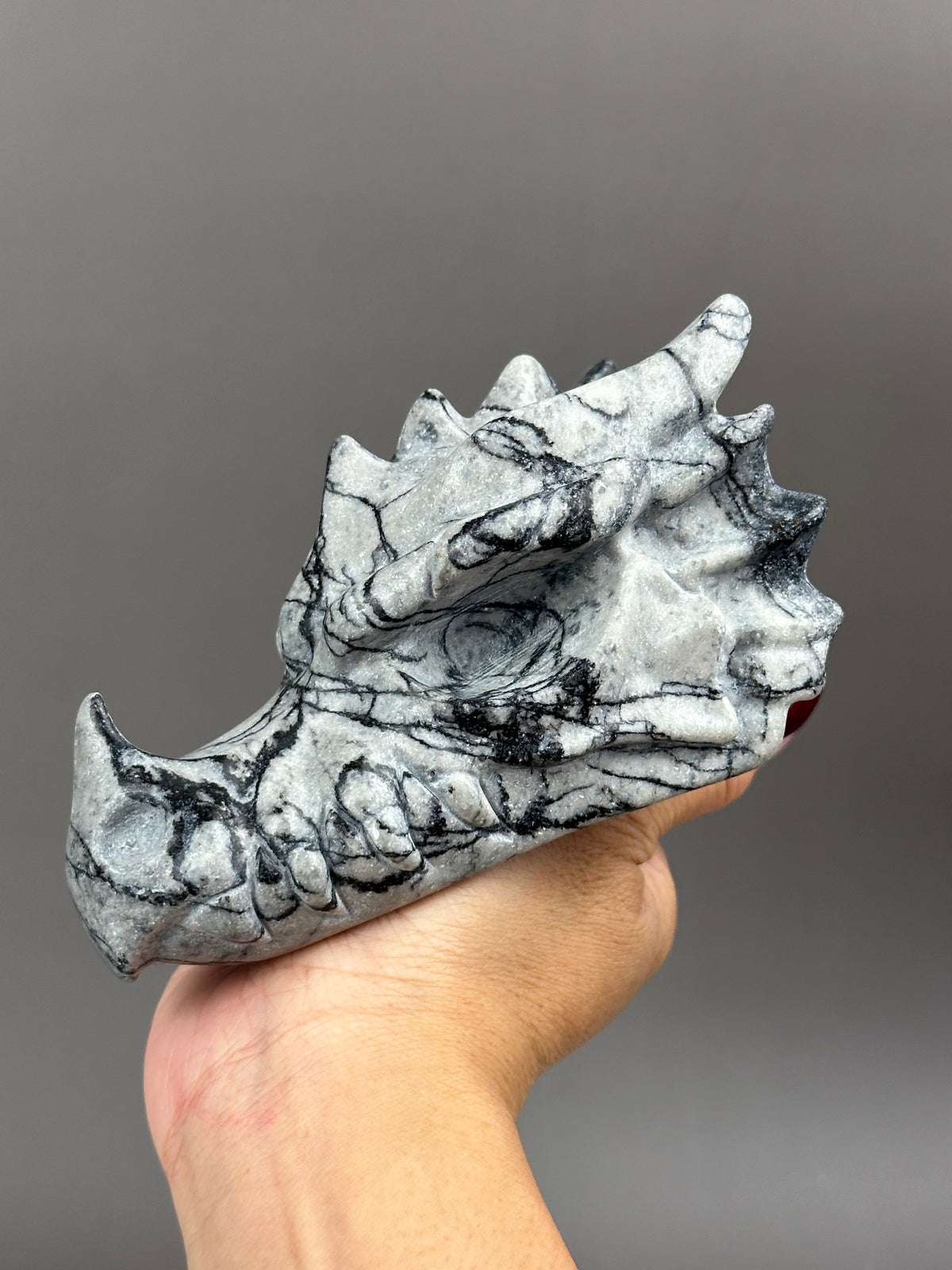 Picasso Jasper 4.75" Dragon Skull Carving #D5