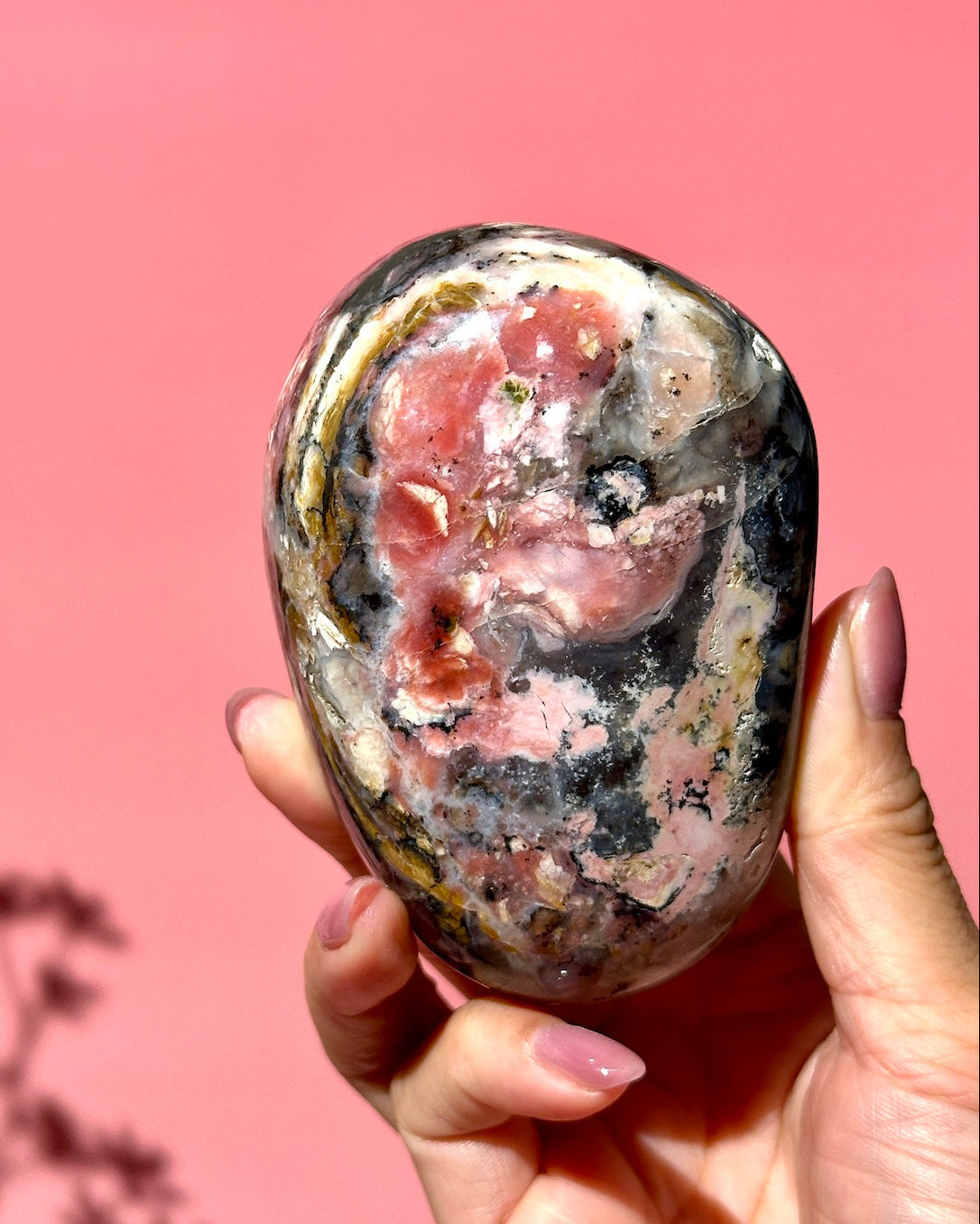 Pink Strawberry Peruvian Opal Palm - Option A