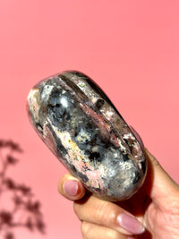 Pink Strawberry Peruvian Opal Palm - Option A
