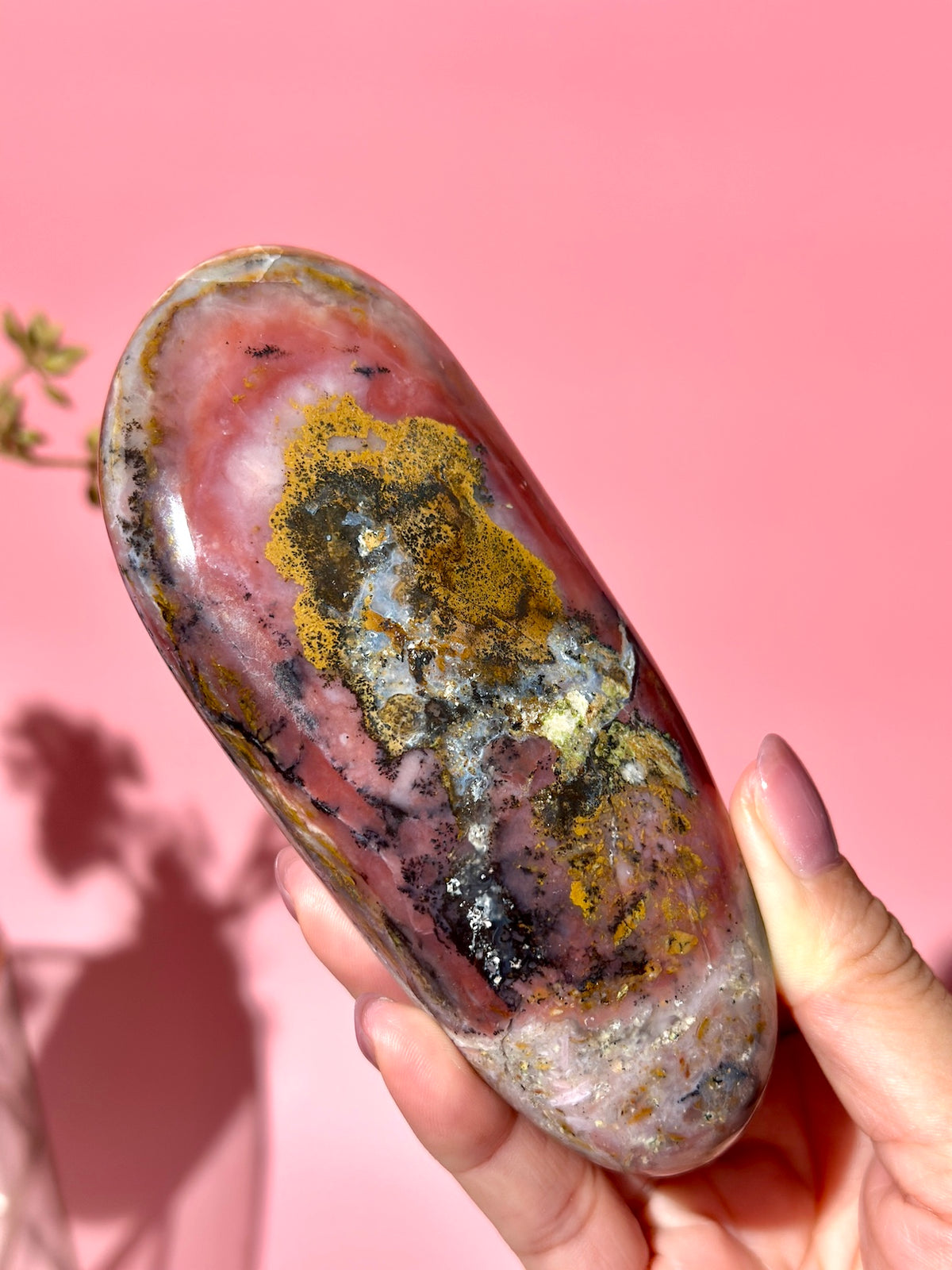 Pink Strawberry Peruvian Opal Palm - Option B