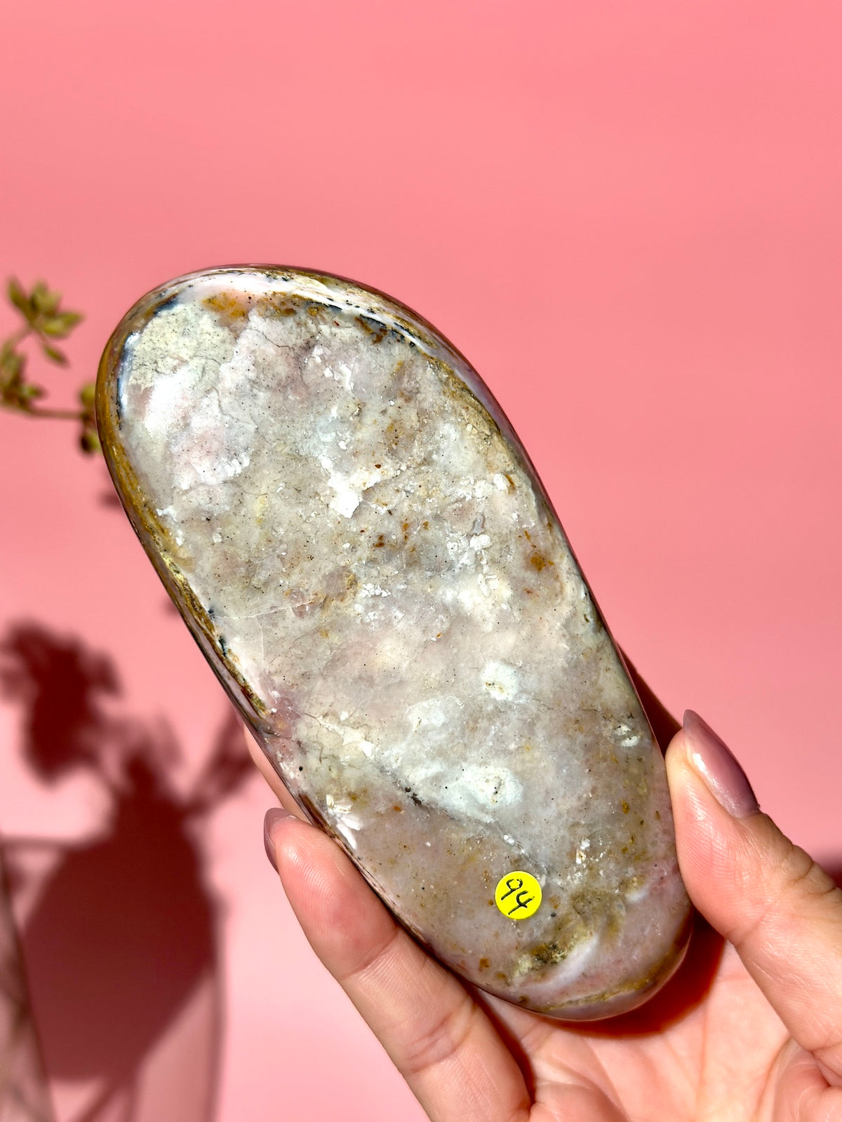 Pink Strawberry Peruvian Opal Palm - Option B