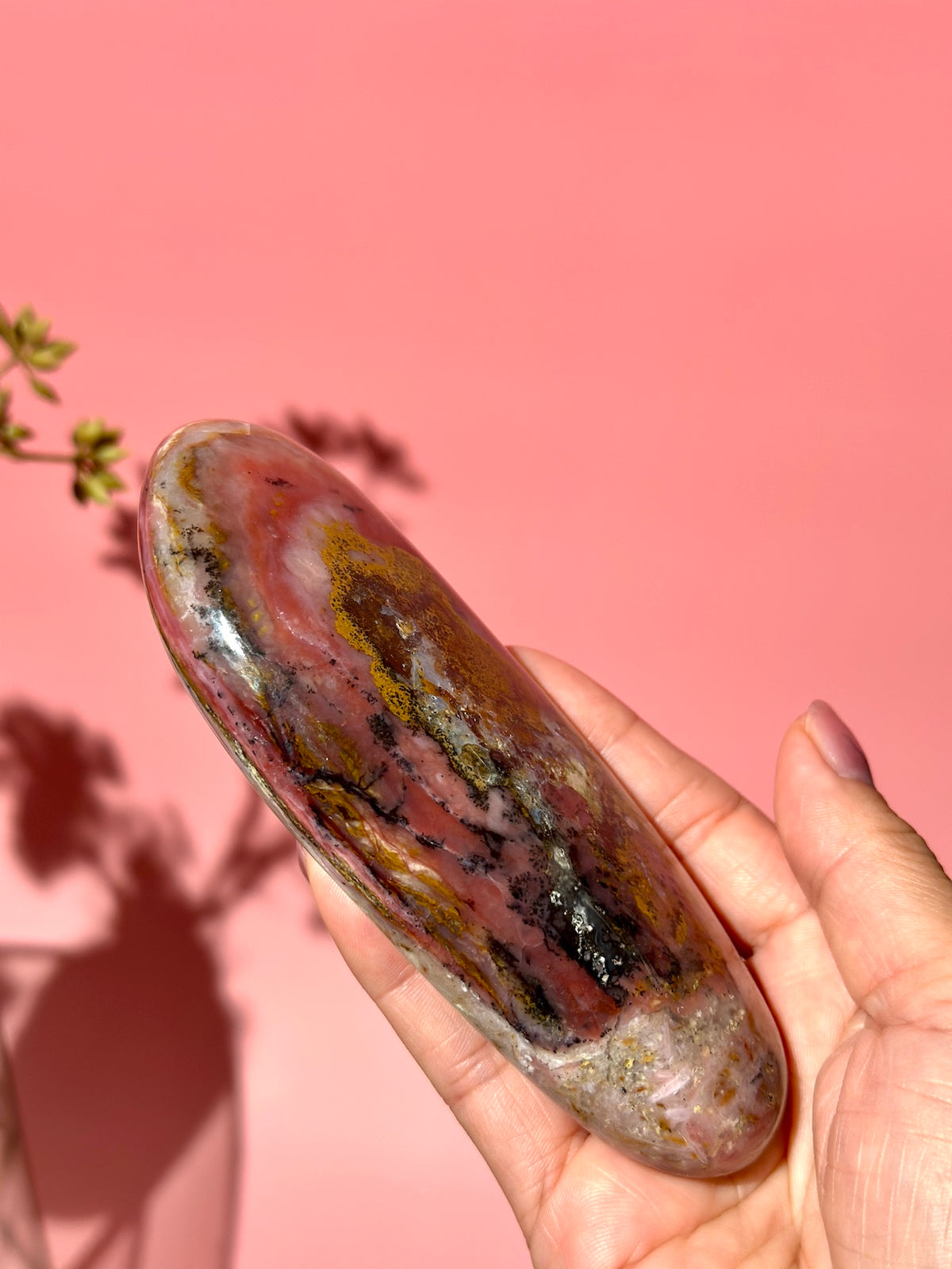 Pink Strawberry Peruvian Opal Palm - Option B