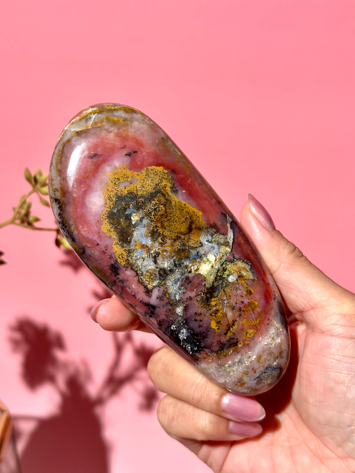 Pink Strawberry Peruvian Opal Palm - Option B