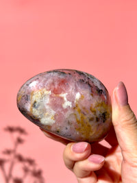 Pink Strawberry Peruvian Opal Palm - Option C