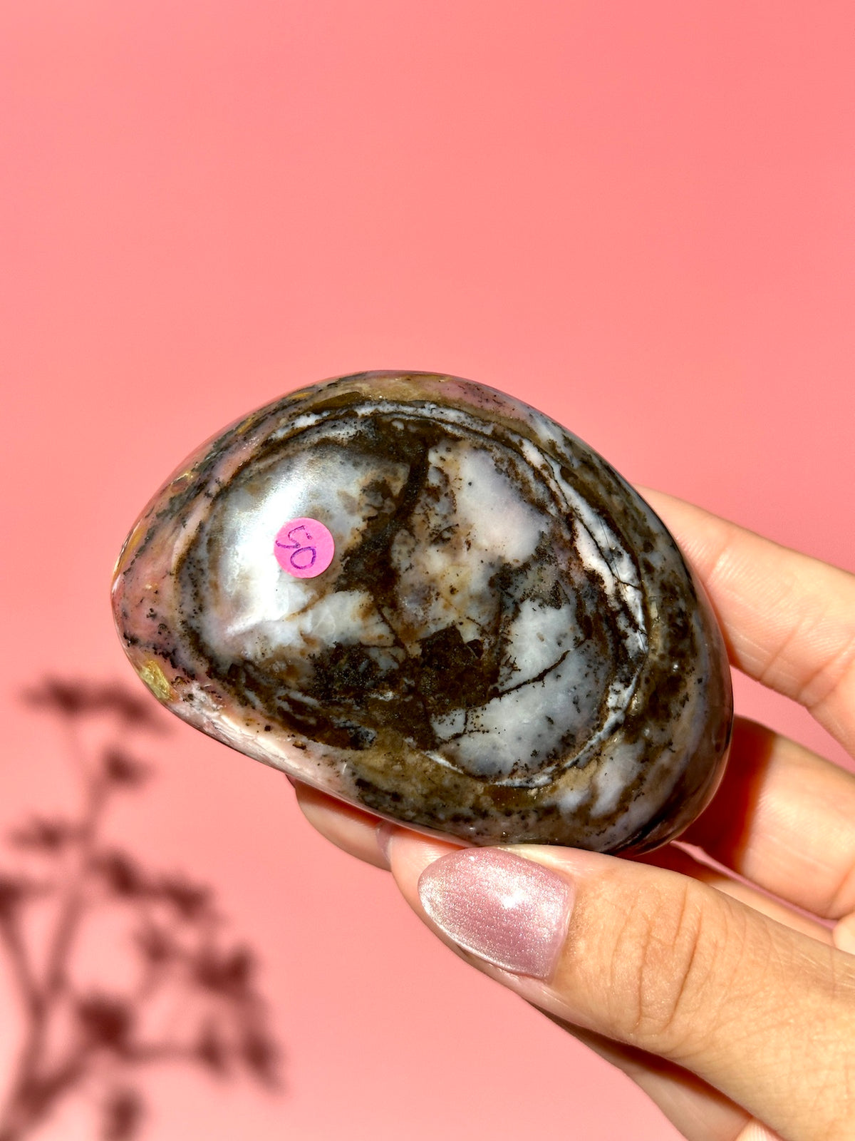 Pink Strawberry Peruvian Opal Palm - Option C