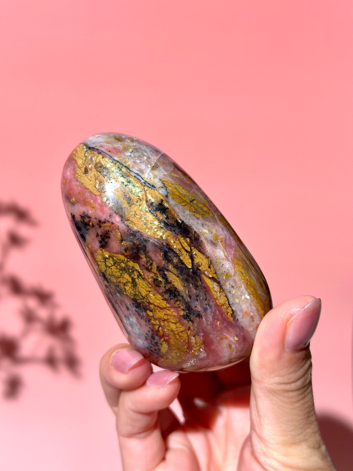 Pink Strawberry Peruvian Opal Palm - Option D