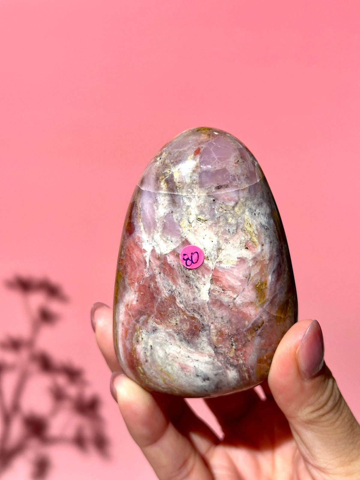 Pink Strawberry Peruvian Opal Palm - Option D
