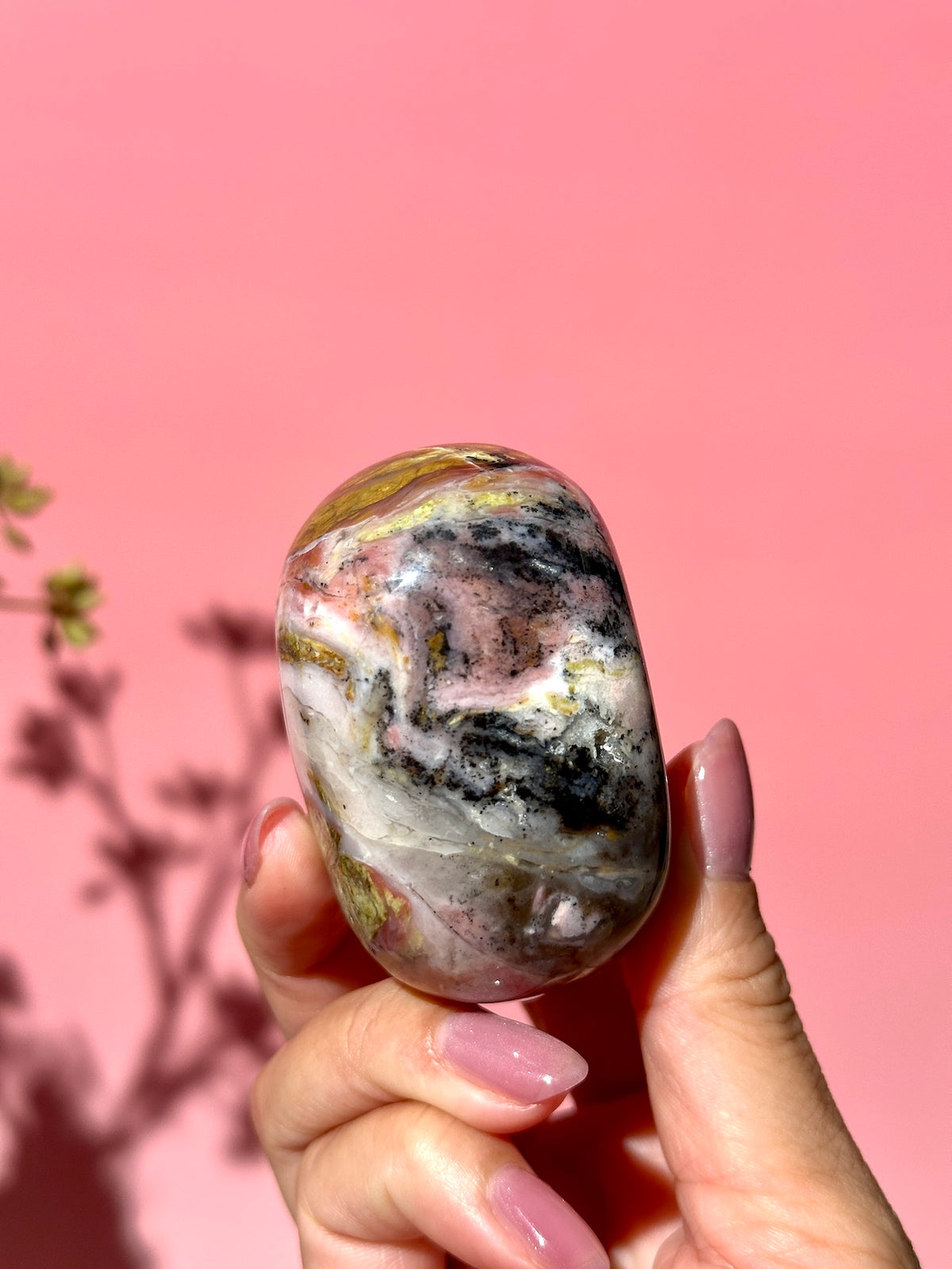 Pink Strawberry Peruvian Opal Palm - Option J