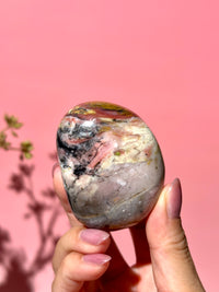 Pink Strawberry Peruvian Opal Palm - Option J