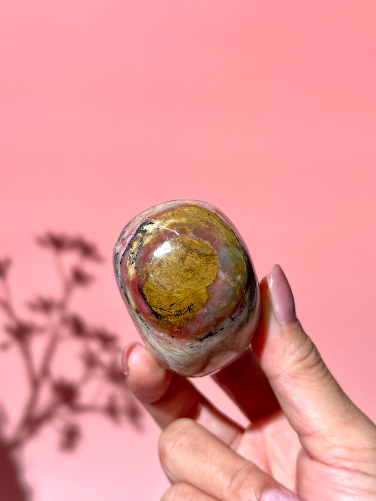 Pink Strawberry Peruvian Opal Palm - Option J