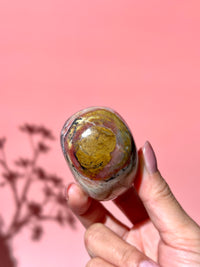 Pink Strawberry Peruvian Opal Palm - Option J