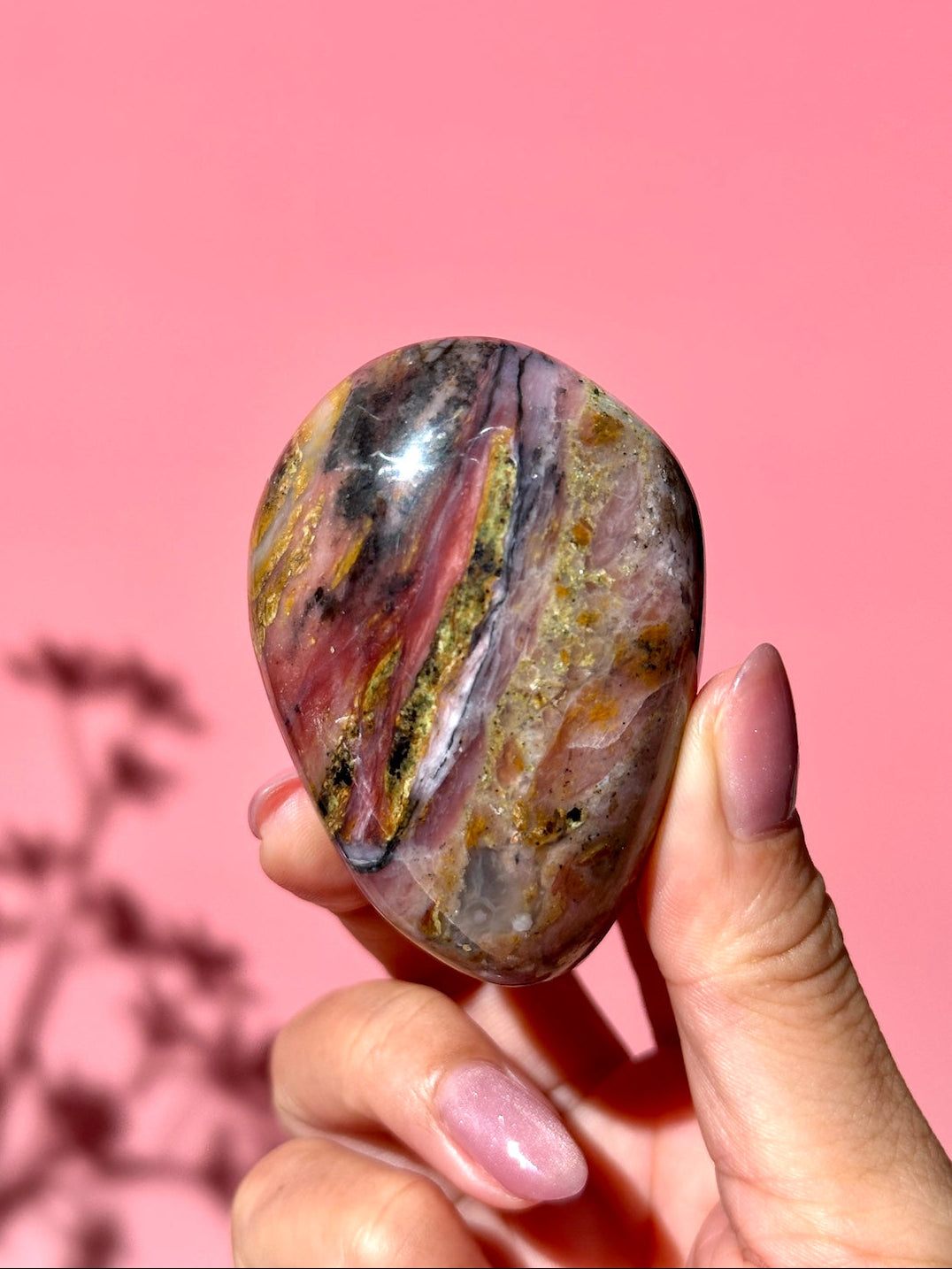Pink Strawberry Peruvian Opal Palm - Option K
