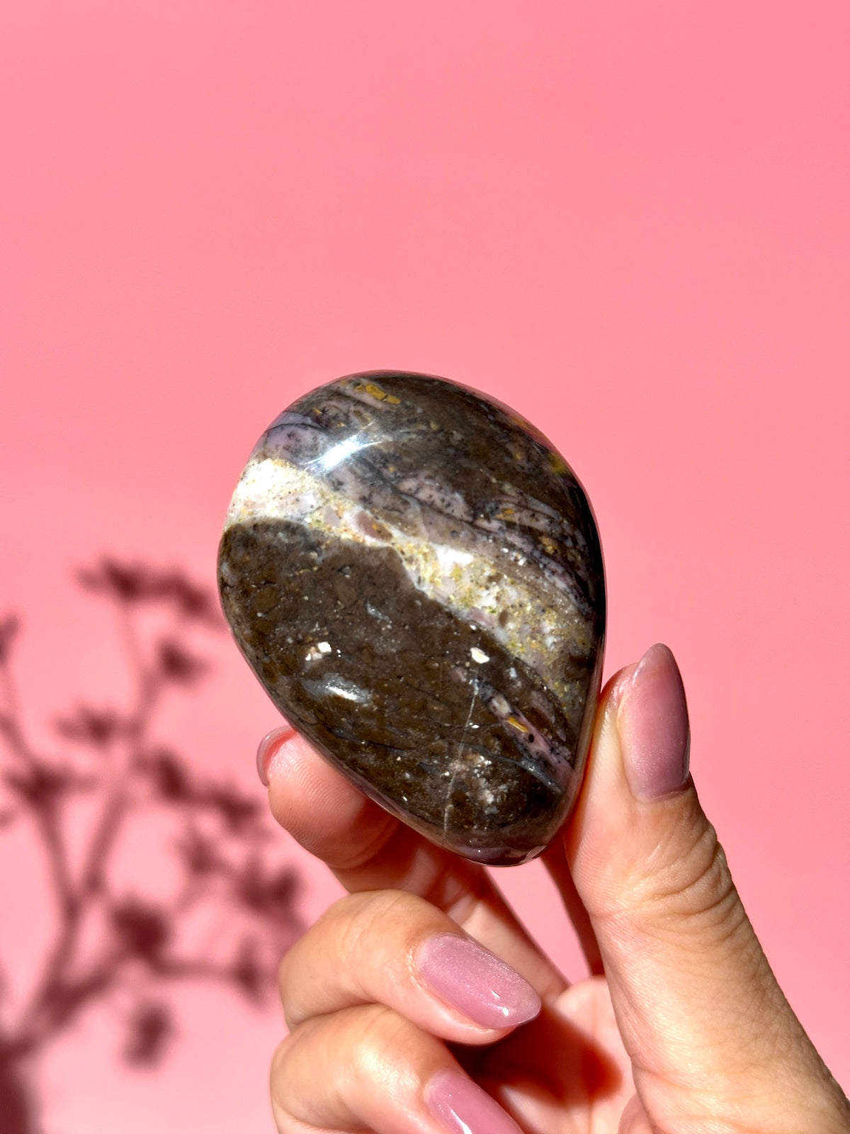 Pink Strawberry Peruvian Opal Palm - Option K