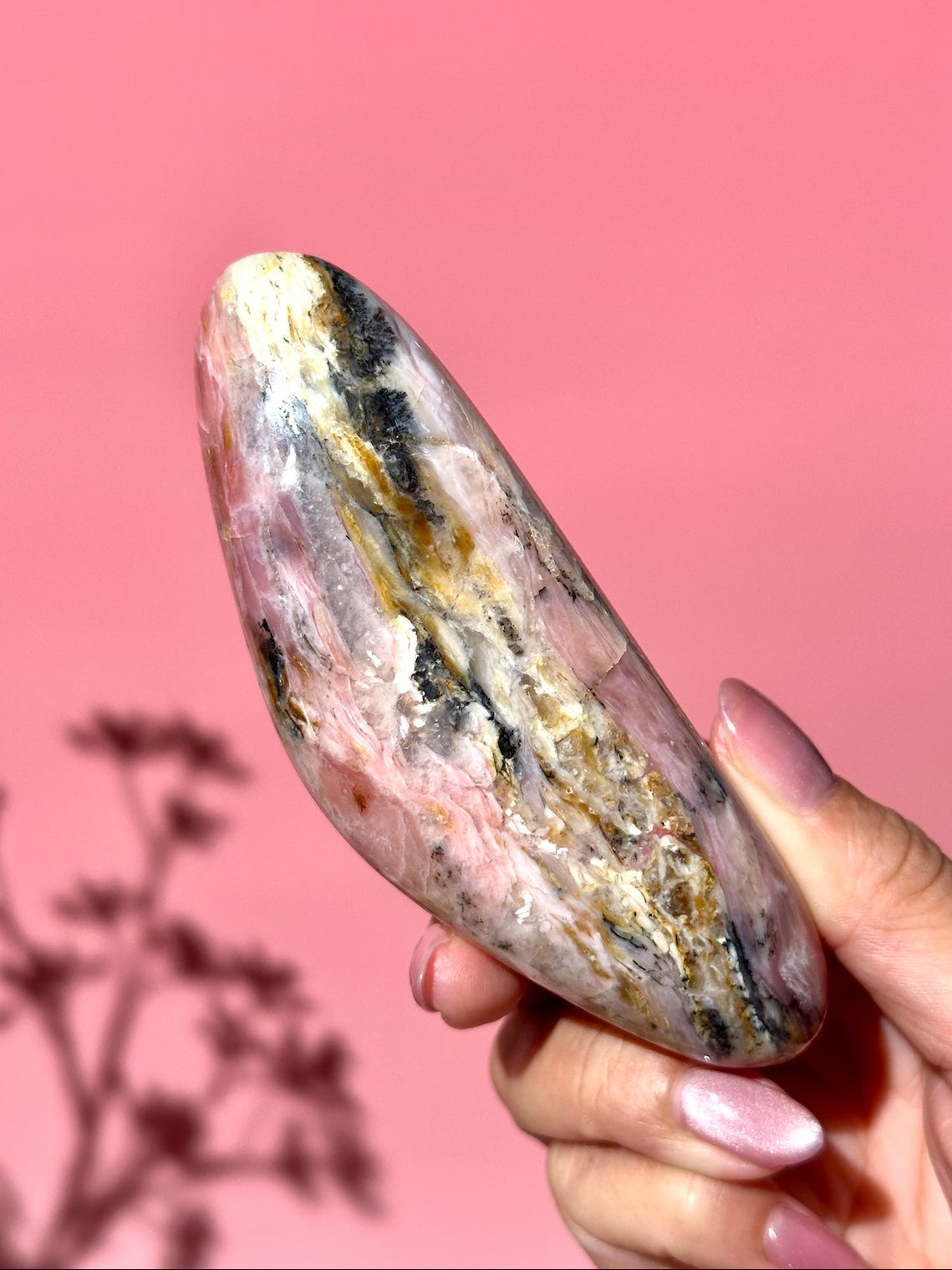 Pink Strawberry Peruvian Opal Palm - Option E