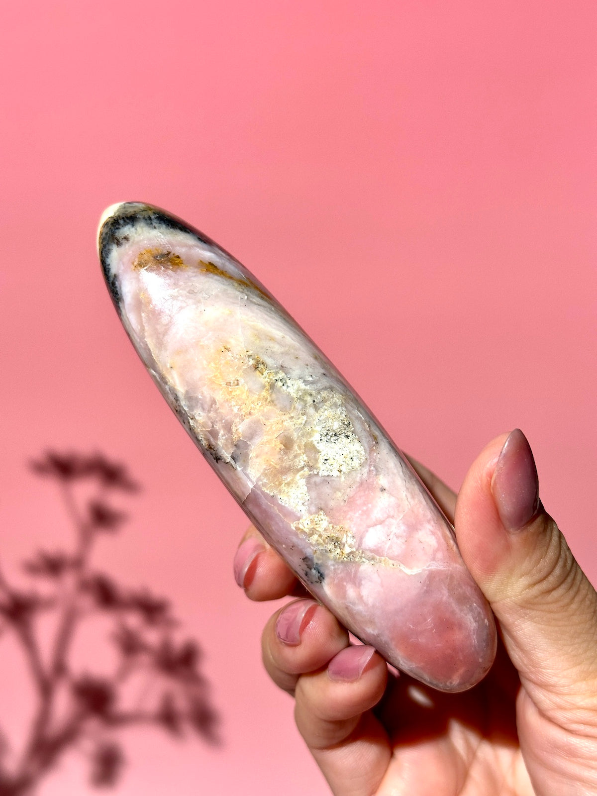 Pink Strawberry Peruvian Opal Palm - Option E