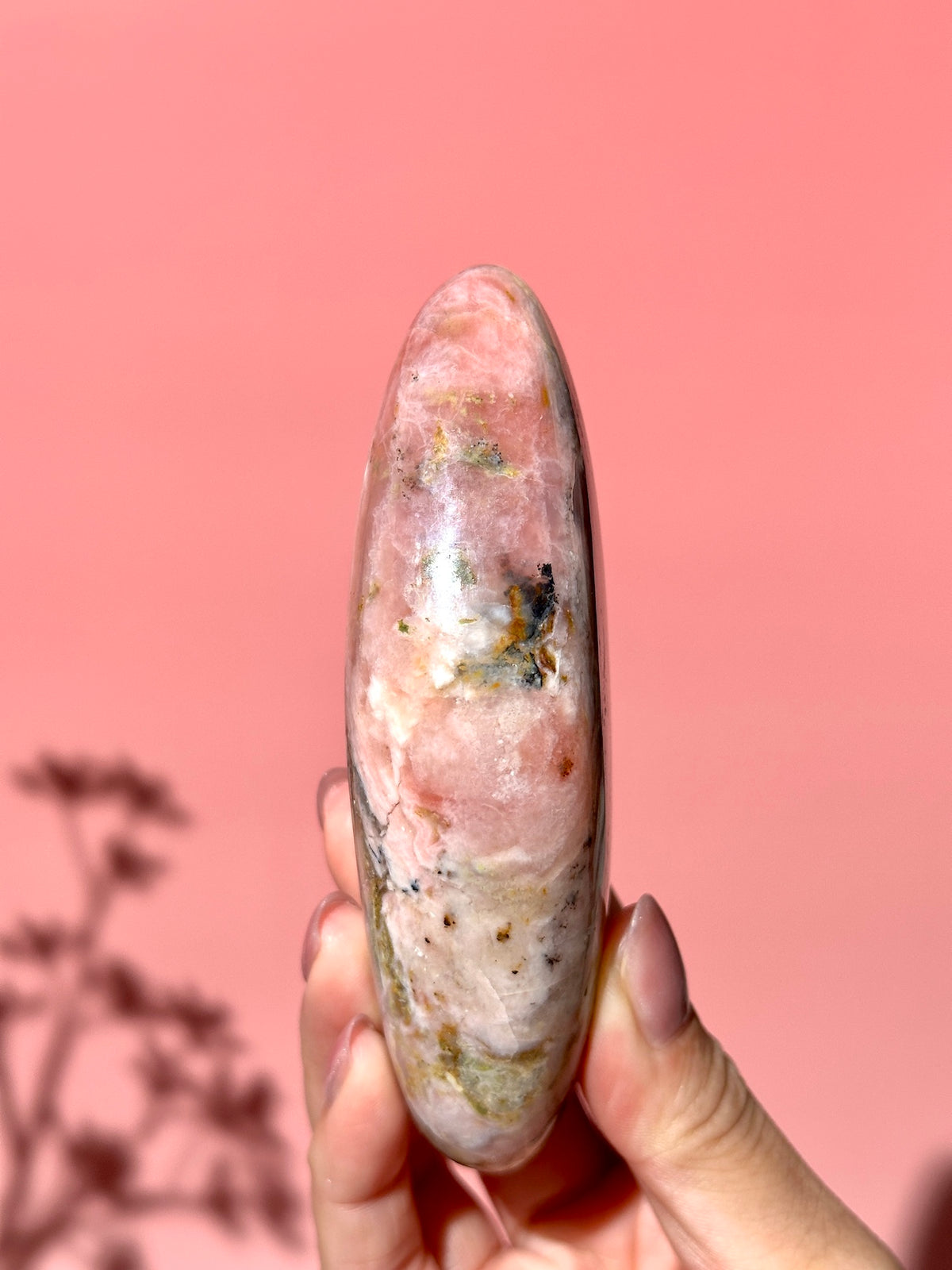 Pink Strawberry Peruvian Opal Palm - Option E