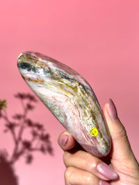 Pink Strawberry Peruvian Opal Palm - Option E