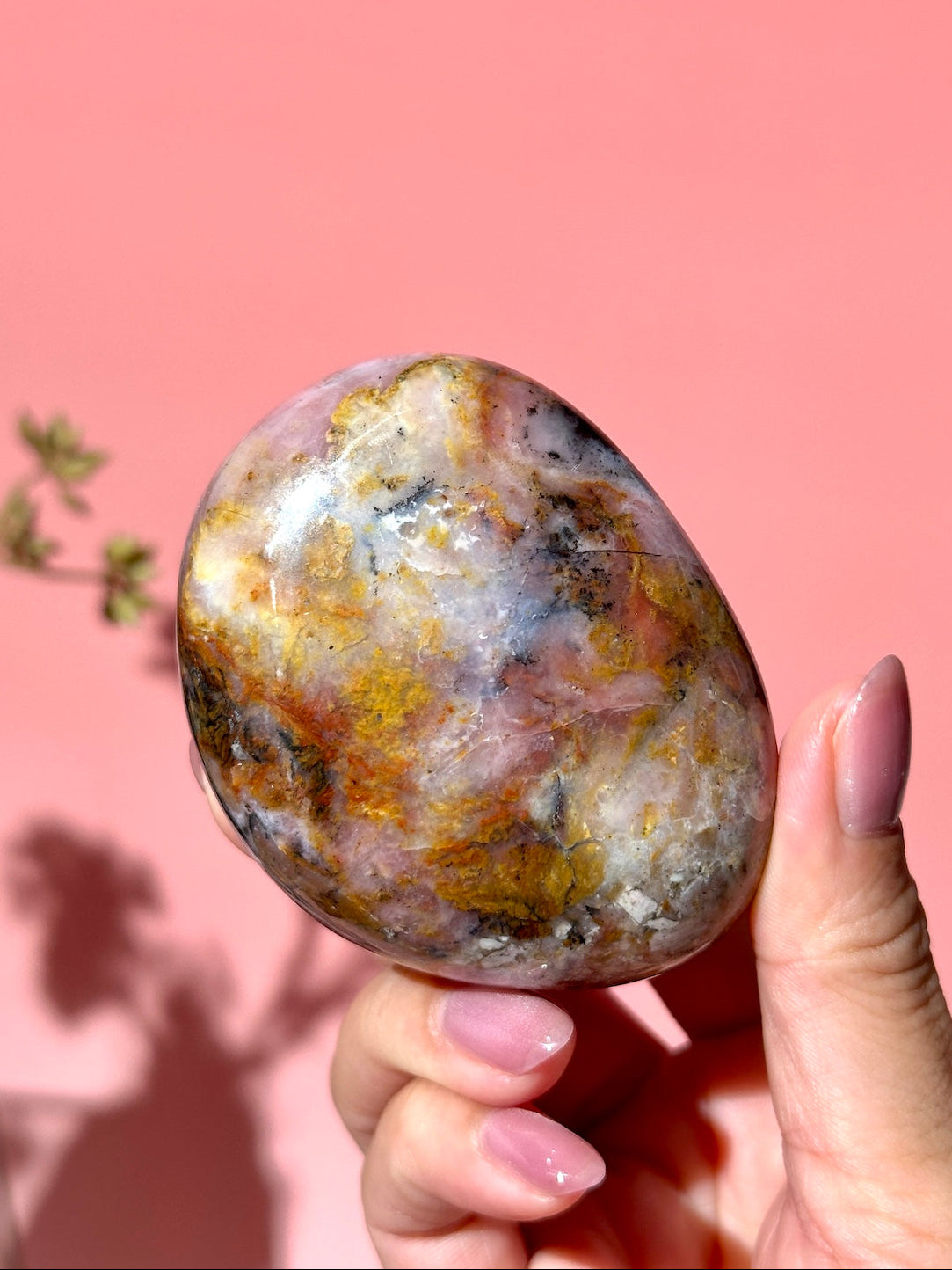 Pink Strawberry Peruvian Opal Palm - Option F