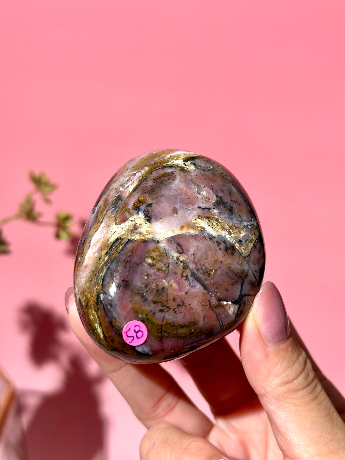 Pink Strawberry Peruvian Opal Palm - Option F