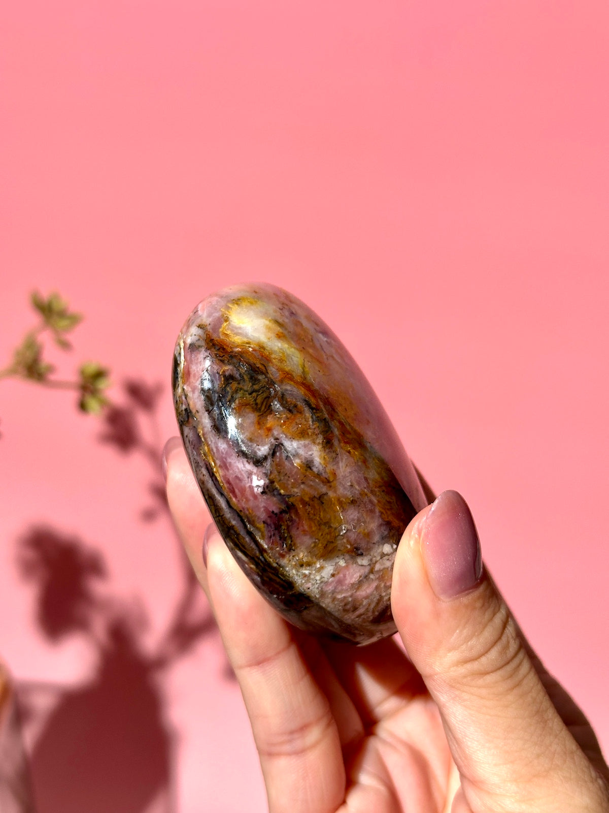 Pink Strawberry Peruvian Opal Palm - Option F