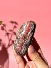 Pink Strawberry Peruvian Opal Palm - Option G