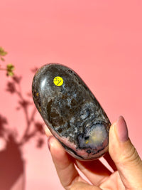 Pink Strawberry Peruvian Opal Palm - Option G