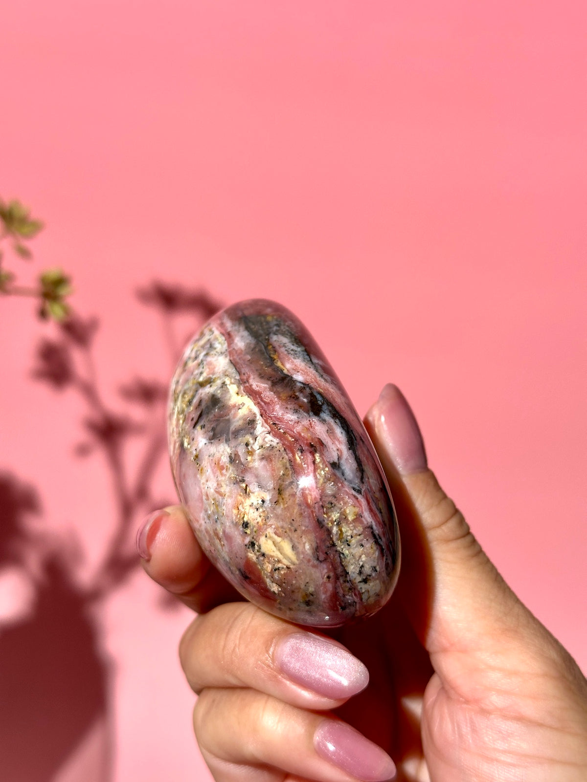 Pink Strawberry Peruvian Opal Palm - Option G
