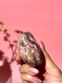 Pink Strawberry Peruvian Opal Palm - Option G