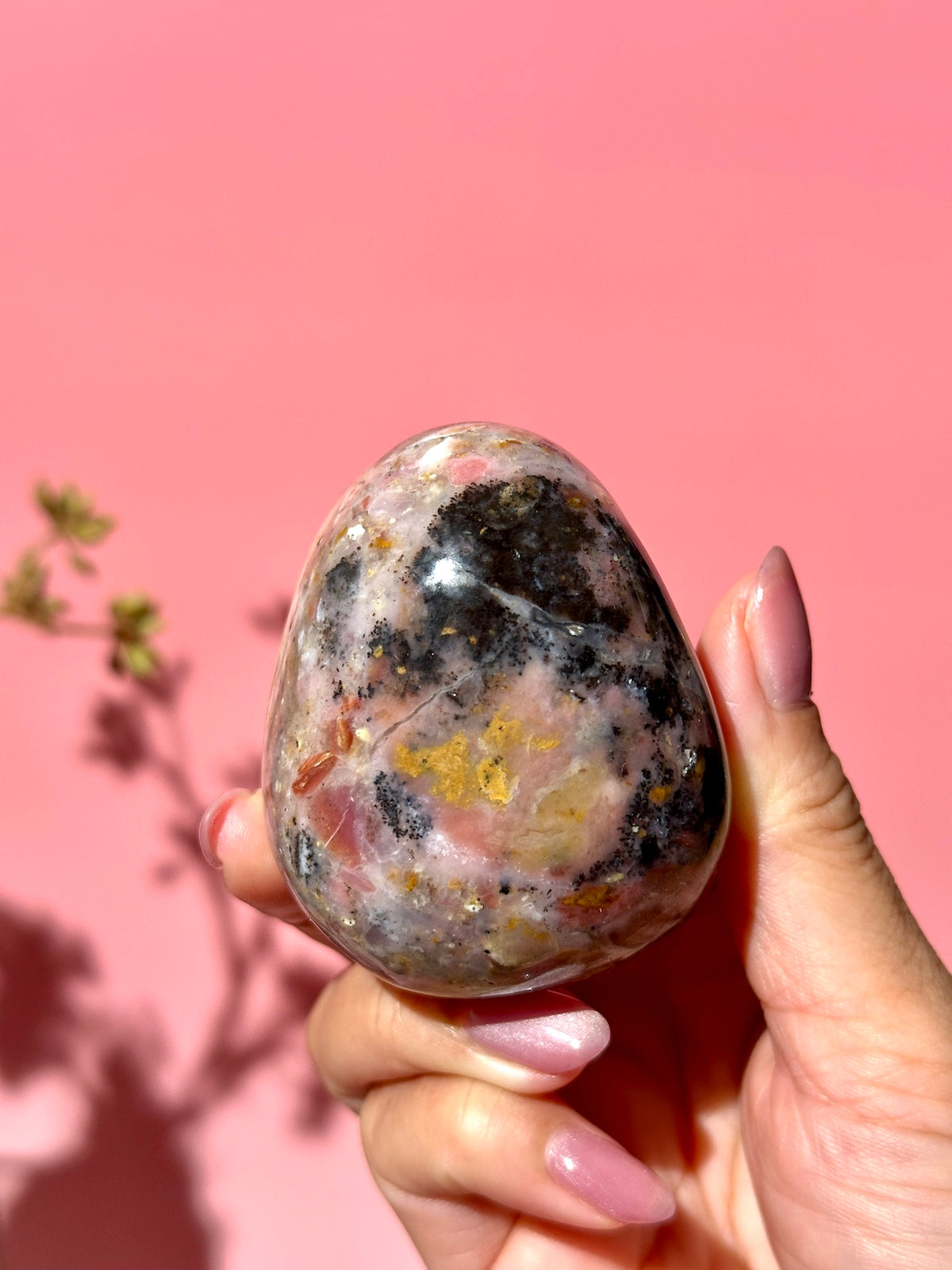 Pink Strawberry Peruvian Opal Palm - Option H