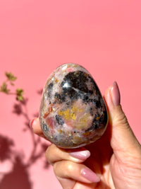 Pink Strawberry Peruvian Opal Palm - Option H