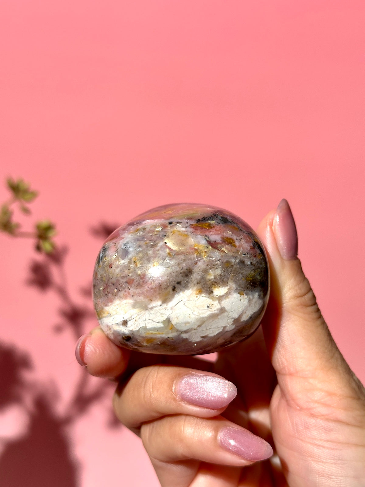 Pink Strawberry Peruvian Opal Palm - Option H
