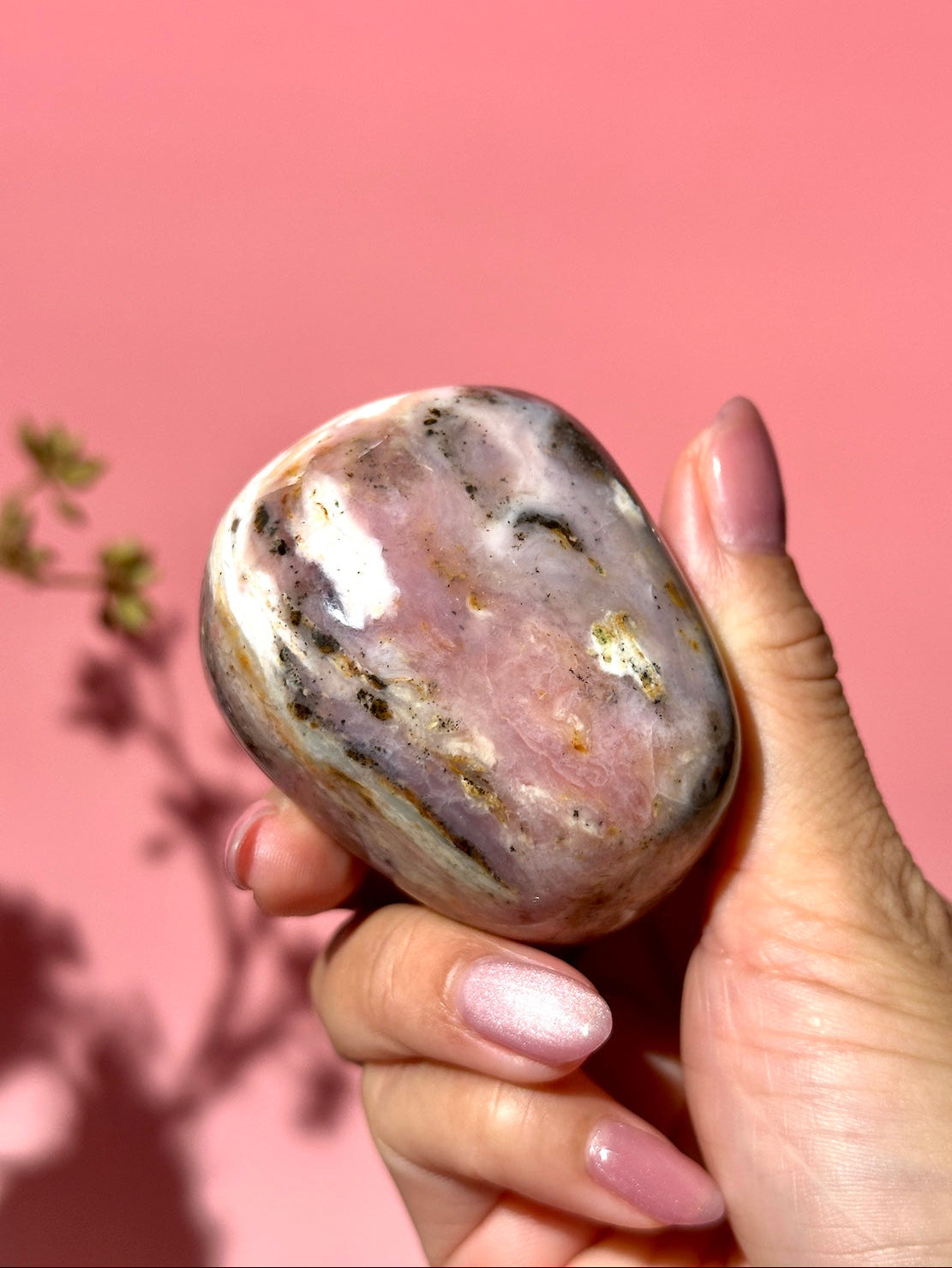 Pink Strawberry Peruvian Opal Palm - Option H