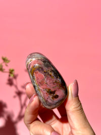 Pink Strawberry Peruvian Opal Palm - Option i