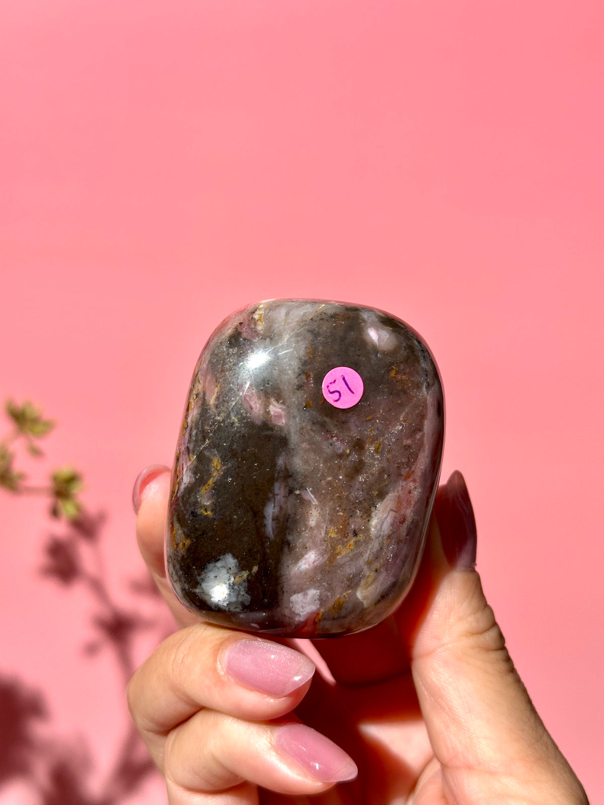 Pink Strawberry Peruvian Opal Palm - Option i