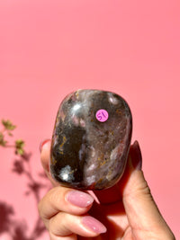 Pink Strawberry Peruvian Opal Palm - Option i