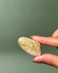 A hand holding a smooth, polished oval stone with natural beige, green, and pink yellow marbled patterns against a soft, solid sage green background.