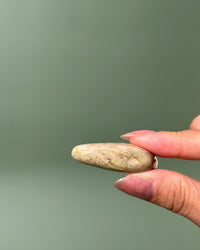 A small, smooth, light beige stone held between two fingers against a soft, solid sage green background.