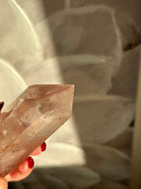 Pink Lithium DT on Silver Custom Stand