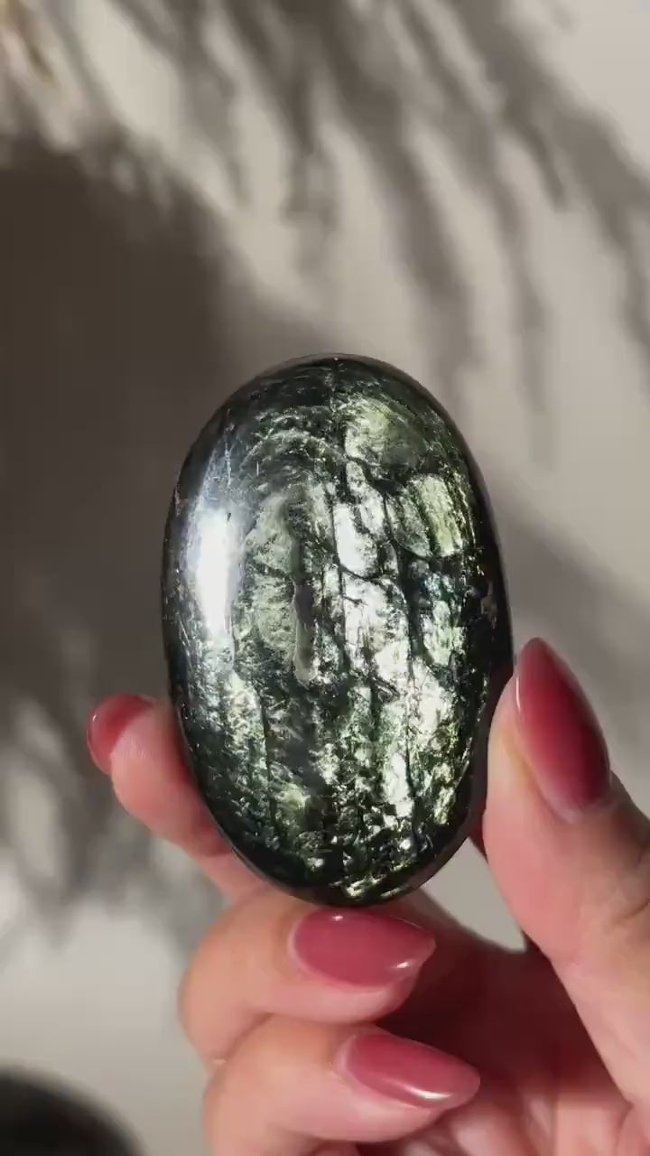 Rare Tetraphlogopite Palm Stone Russian Mineral Specimen #3