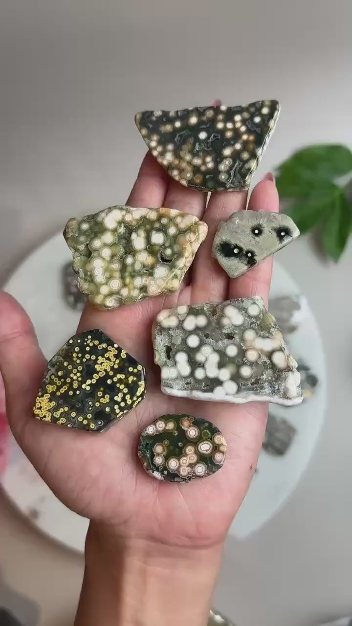 Ocean Jasper Pocket Slice: OJ Orbicular Jasper, Collectible Quality