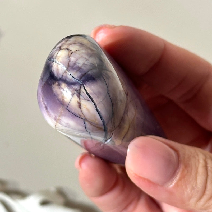 Tiffany Stone | Classic Signature Purple & Creamy Eggshell