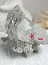 MOTHER - RARE Statement Garden Lemurian Cluster Specimen (STAR COLLECTION)