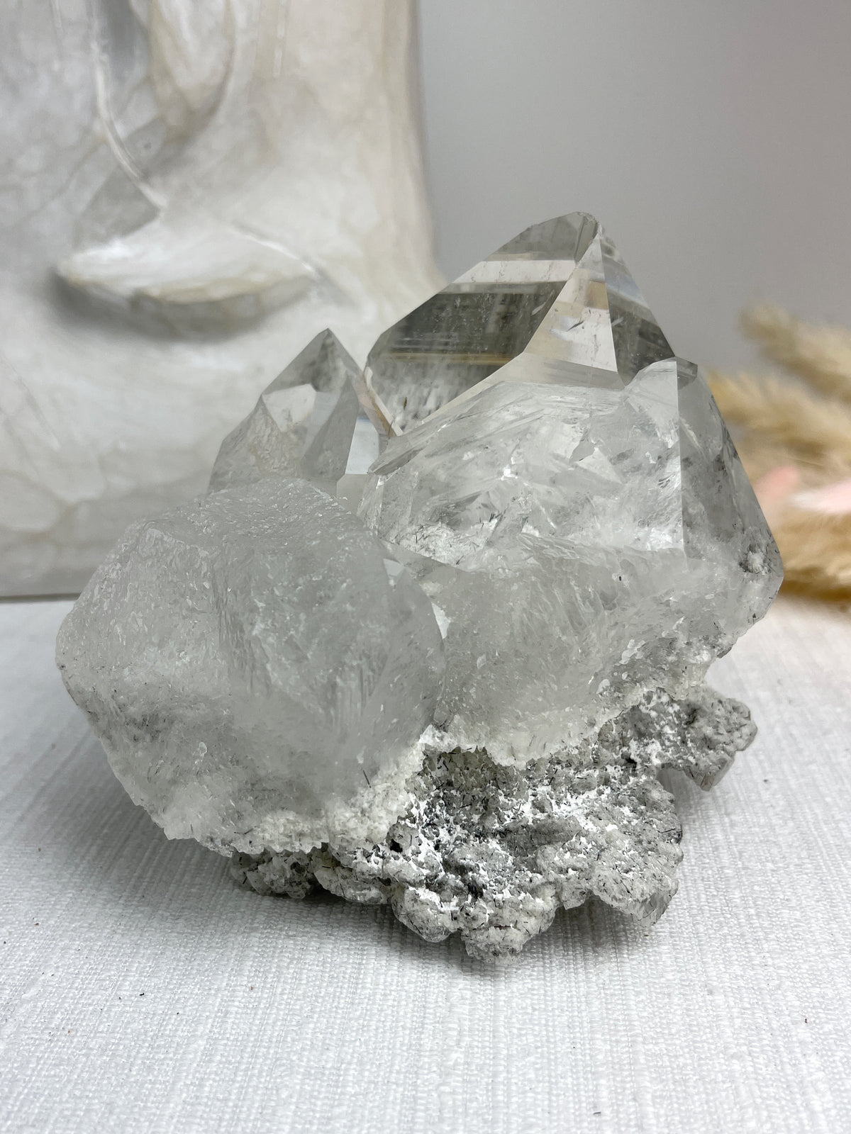 MOTHER - RARE Statement Garden Lemurian Cluster Specimen (STAR COLLECTION)