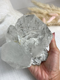 MOTHER - RARE Statement Garden Lemurian Cluster Specimen (STAR COLLECTION)