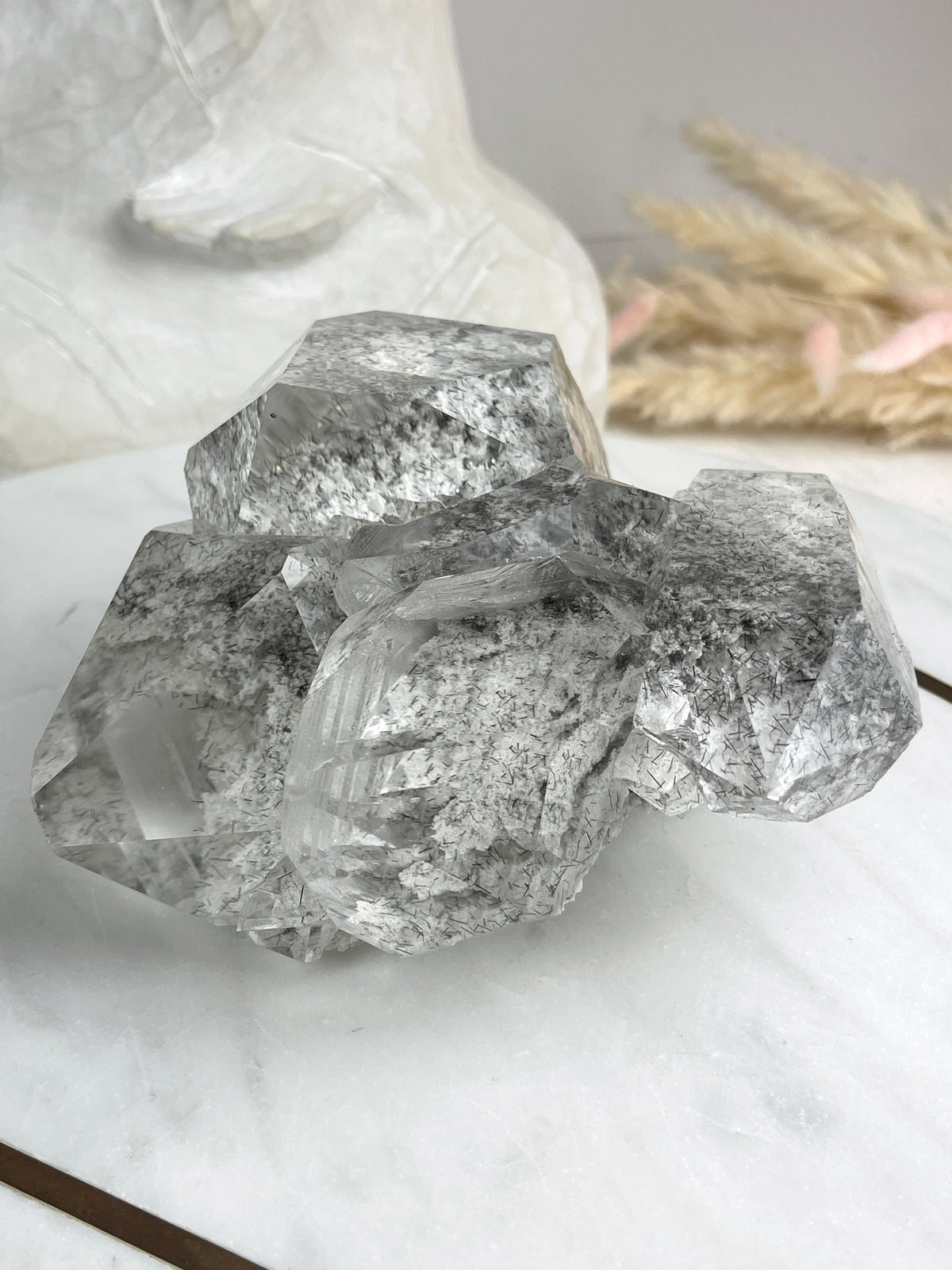 MARY - RARE Statement Garden Lemurian Cluster Specimen (STAR COLLECTION)