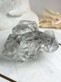 MARY - RARE Statement Garden Lemurian Cluster Specimen (STAR COLLECTION)