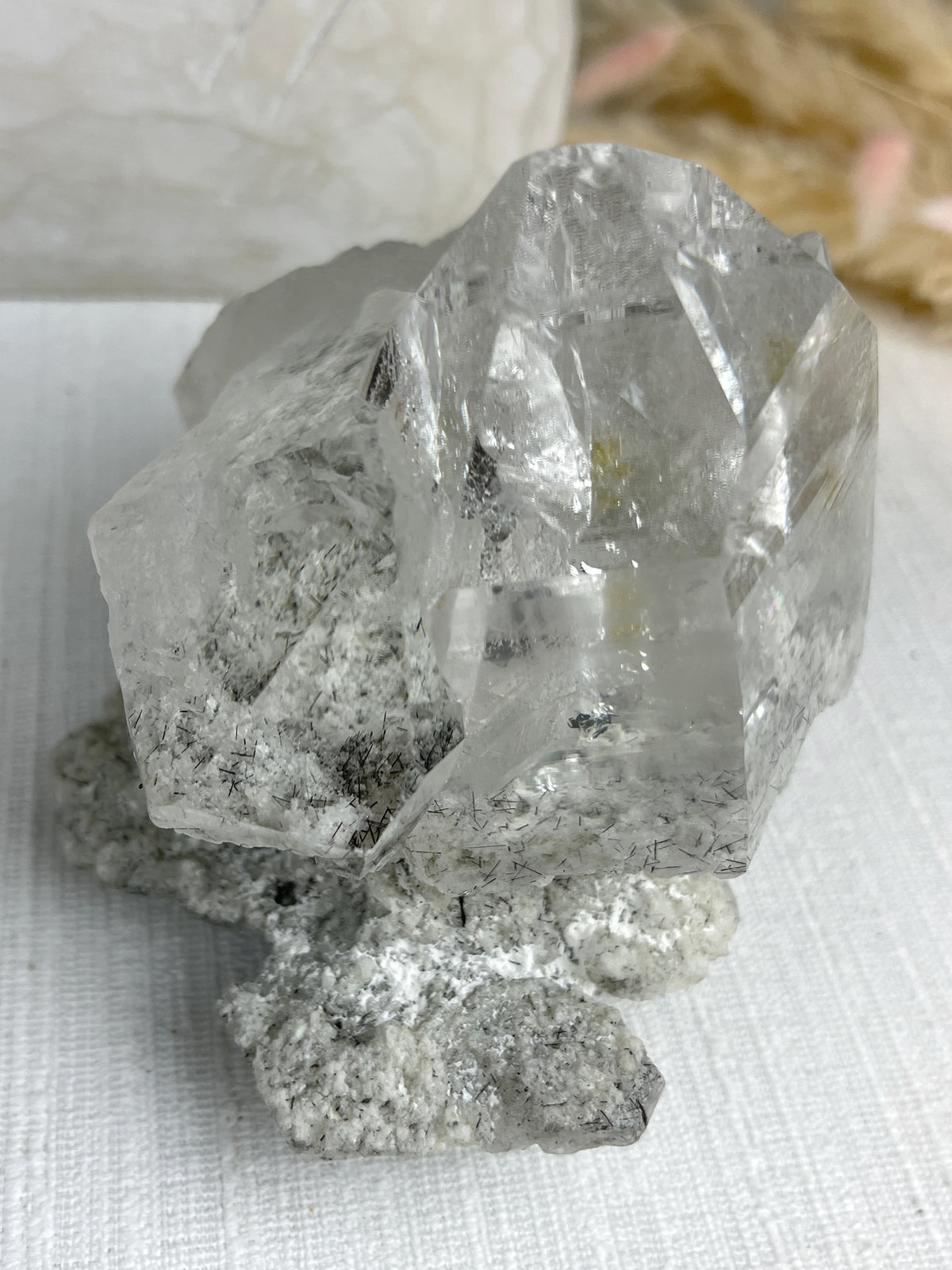 MOTHER - RARE Statement Garden Lemurian Cluster Specimen (STAR COLLECTION)